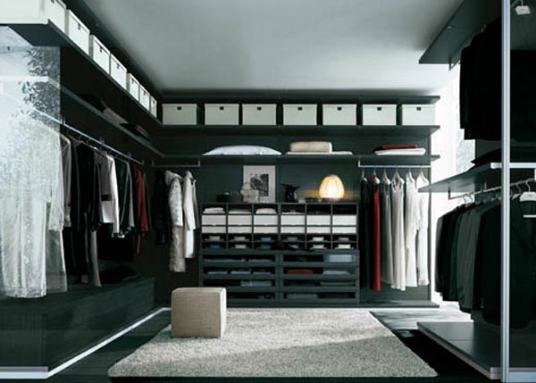 Intelligently organize the closet: 50 images, stock plans and ideas with closets