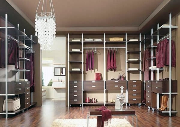 Intelligently organize the closet: 50 images, stock plans and ideas with closets