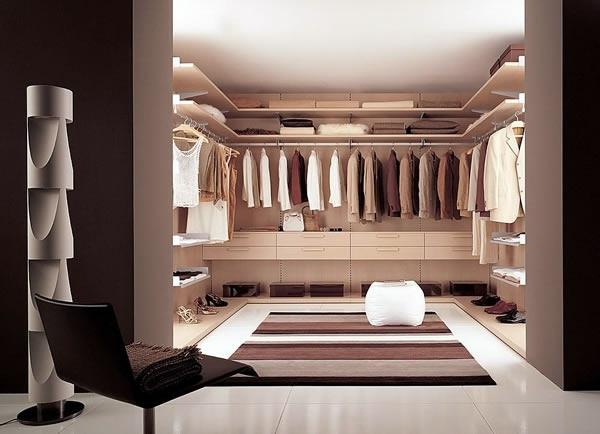 Intelligently organize the closet: 50 images, stock plans and ideas with closets
