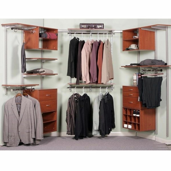 Intelligently organize the closet: 50 images, stock plans and ideas with closets