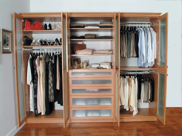 Intelligently organize the closet: 50 images, stock plans and ideas with closets
