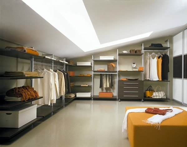 Intelligently organize the closet: 50 images, stock plans and ideas with closets