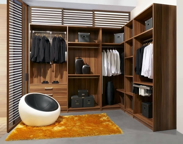 Intelligently organize the closet: 50 images, stock plans and ideas with closets