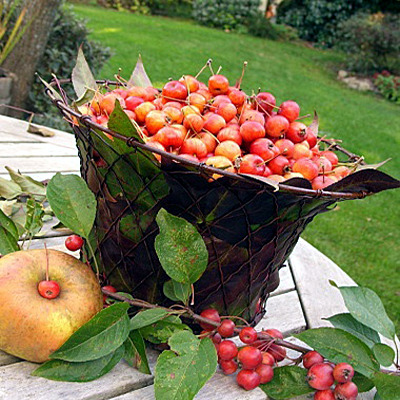 10 Fall decorating ideas to make your own 10 Fall decorating ideas to make your own