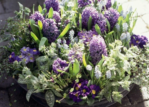 25 simple Easter decoration ideas at the last minute