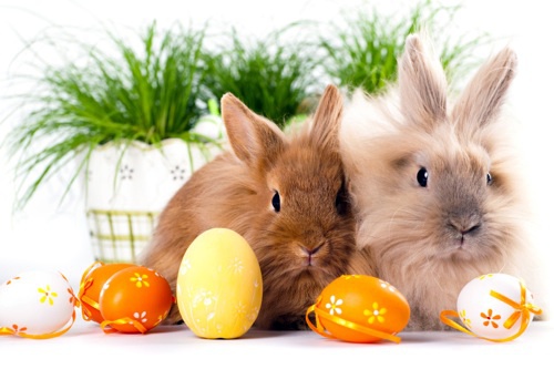 25 simple Easter decoration ideas at the last minute