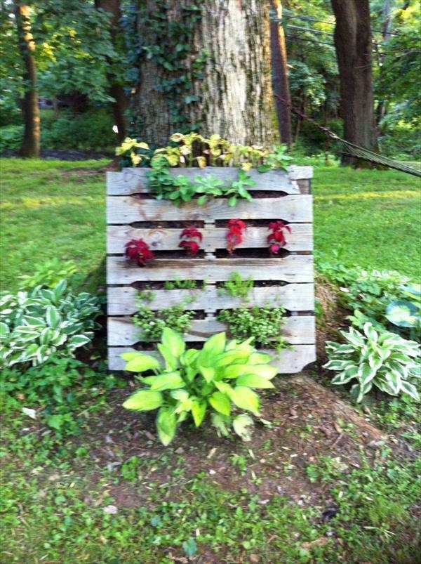 Creating a vertical garden and flower - DIY from Euro ...
