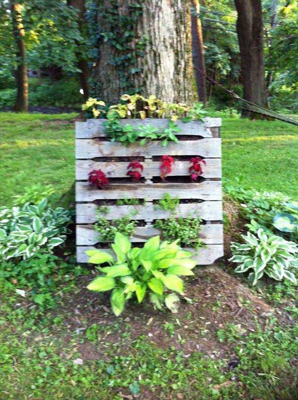 Creating a vertical garden and flower – DIY from Euro pallets