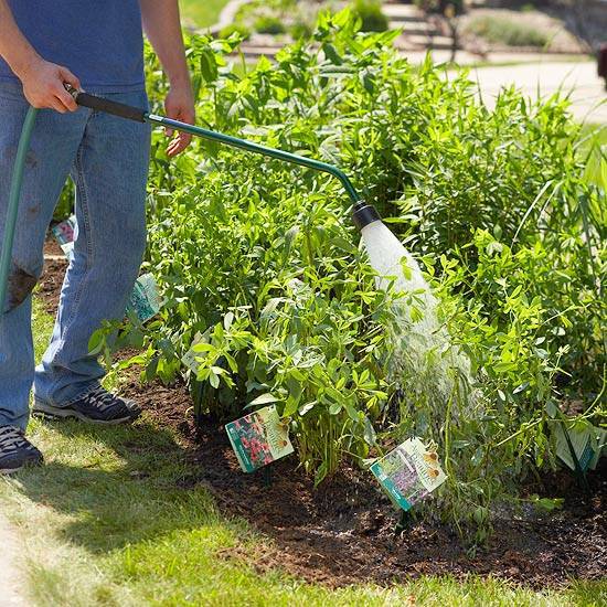 Cool Landscaping - planting the grass strip in front of your house