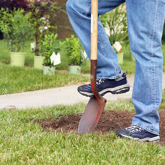 Cool Landscaping - planting the grass strip in front of your house