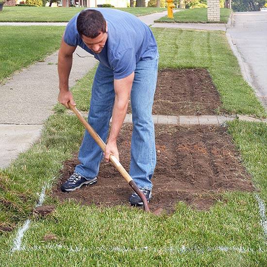 Cool Landscaping - planting the grass strip in front of your house