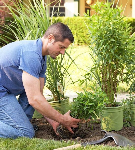 Cool Landscaping - planting the grass strip in front of your house