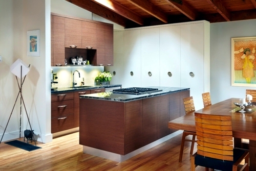 You like to cook? You definitely need a hood for the kitchen