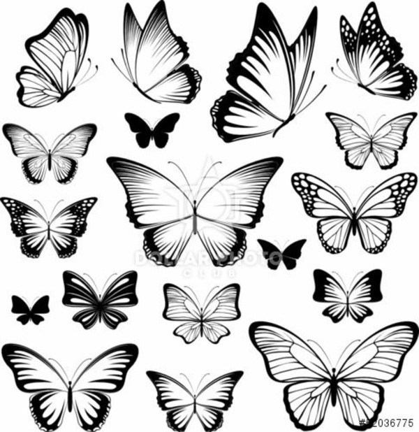 Butterfly Tattoo Meaning Beautiful And Useful Interior Design