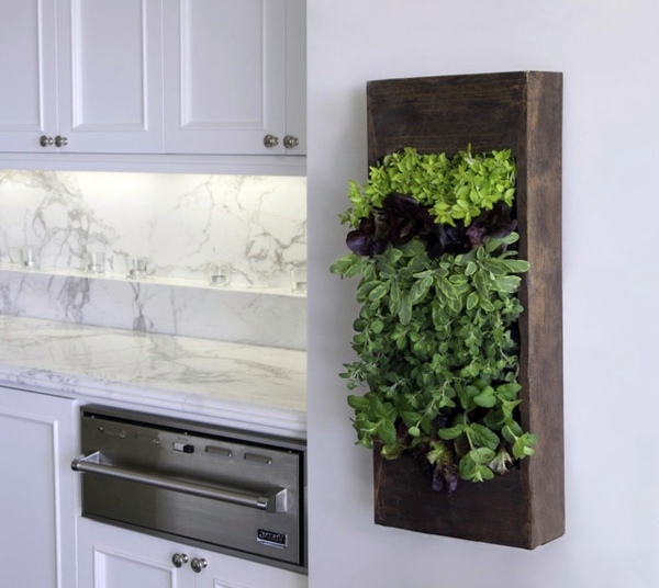 10 Ideas for a Green Kitchen Trend - live healthy and environmentally friendly