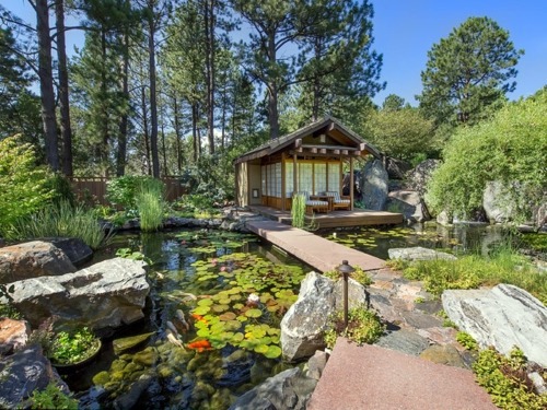 Garten und Landschaftsbau - Creating a koi pond in the garden - typical extra for the Asian and tropical-inspired ambiance Garden & Plants Garten und Landschaftsbau - Creating a koi pond in the garden - typical extra for the Asian and tropical-inspired ambiance Garden & Plants