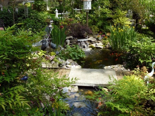 Creating a koi pond in the garden - typical extra for the Asian and tropical-inspired ambiance Garden & Plants