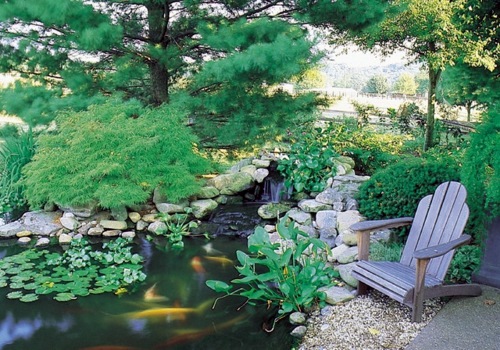 Creating a koi pond in the garden - typical extra for the Asian and tropical-inspired ambiance Garden & Plants Creating a koi pond in the garden - typical extra for the Asian and tropical-inspired ambiance Garden & Plants