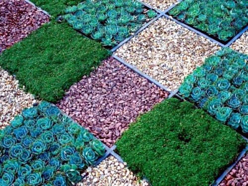 Front garden design with gravel - you want to give a striking front yard?