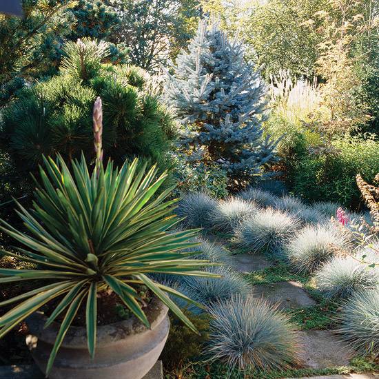 Follow Lightweight landscape ideas and rules