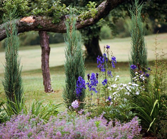 Follow Lightweight landscape ideas and rules