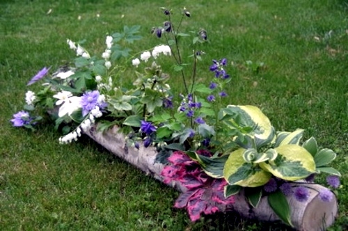 Cool garden decorations for your garden