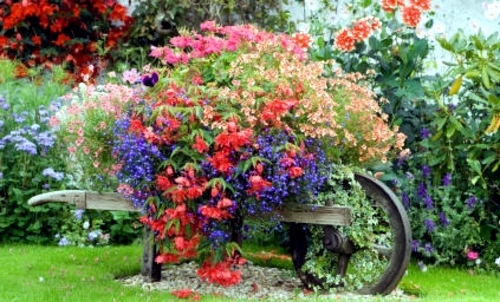 Cool garden decorations for your garden Cool garden decorations for your garden