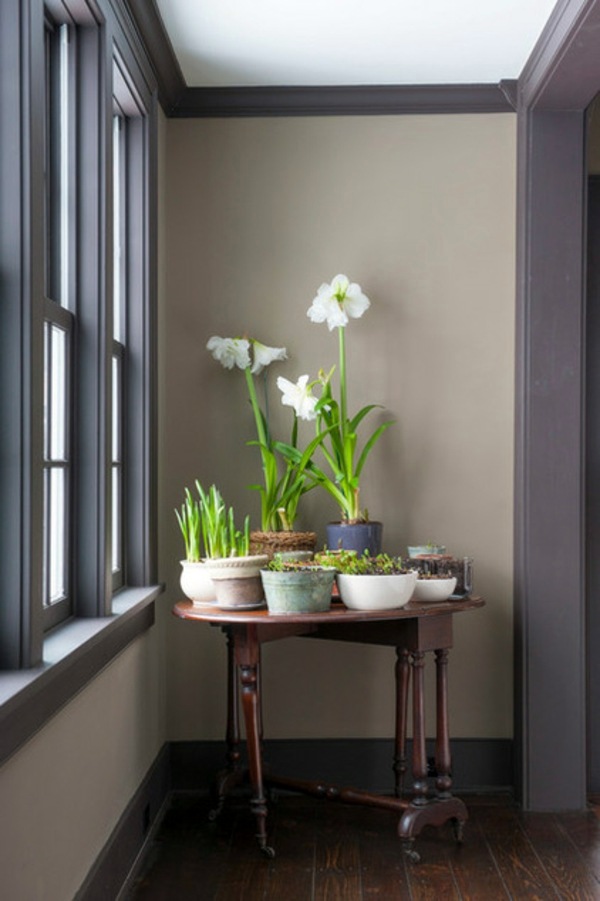 Beautiful garden design ideas indoors