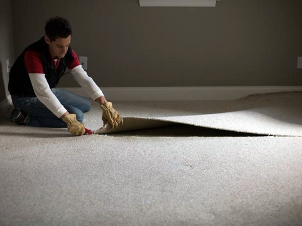 Teppich & Boden - How can you remove the carpet