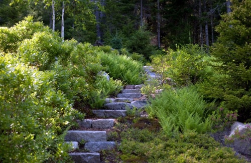 Landscape architecture and design with sustainably harvested timber from Maine