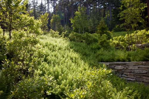 Landscape architecture and design with sustainably harvested timber from Maine