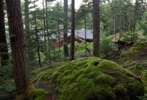 Landscape architecture and design with sustainably harvested timber from Maine