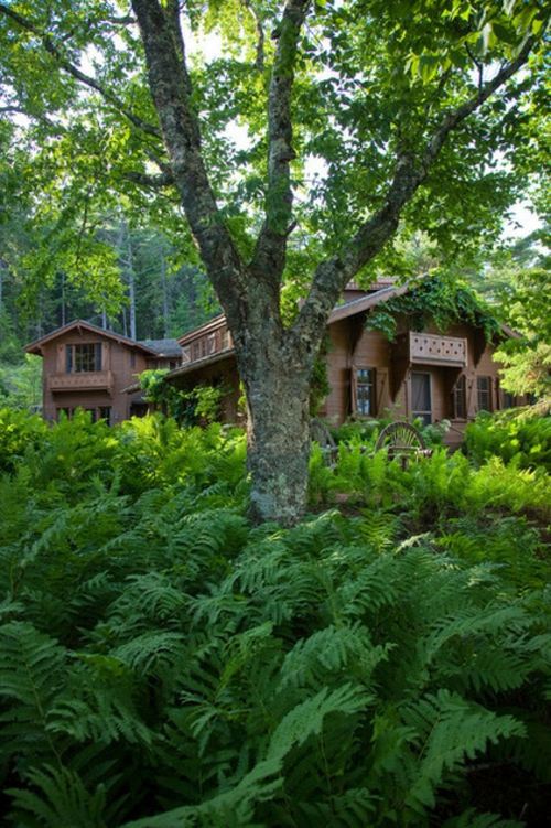 Landscape architecture and design with sustainably harvested timber from Maine