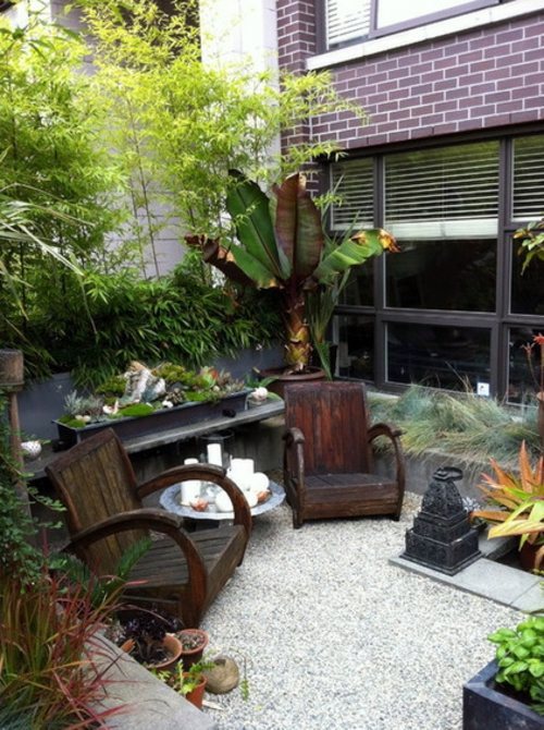 Make shade garden with tropical plants Make shade garden with tropical plants