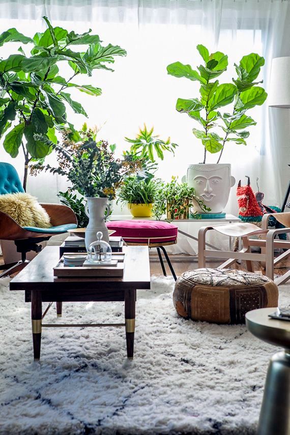 Decorating with plants Decorating with plants