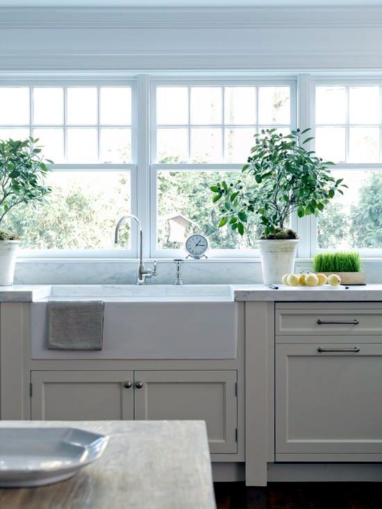 Decorating with plants Decorating with plants