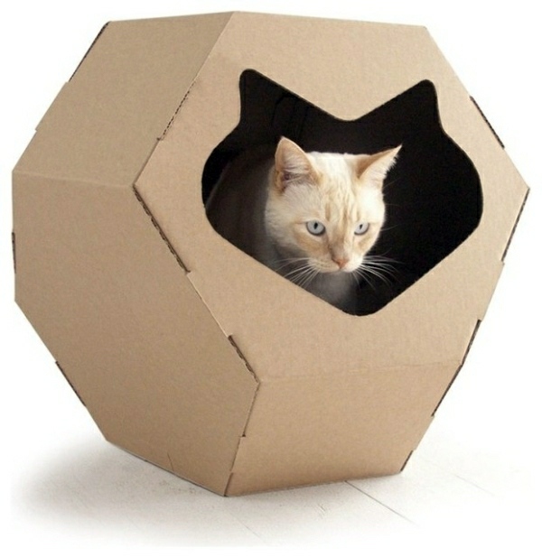 Modern accessories for your pets Modern accessories for your pets