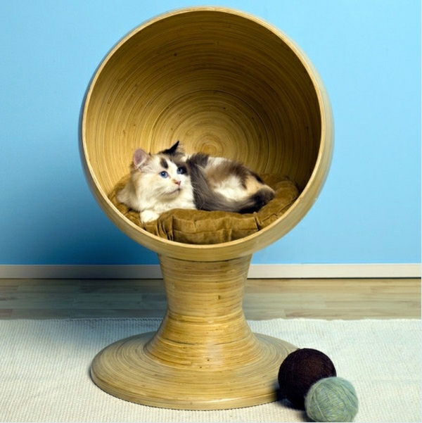 Modern accessories for your pets Modern accessories for your pets