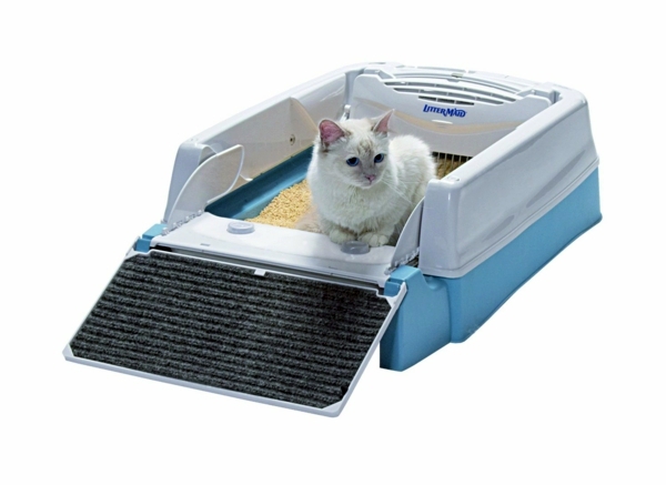 Modern accessories for your pets Modern accessories for your pets