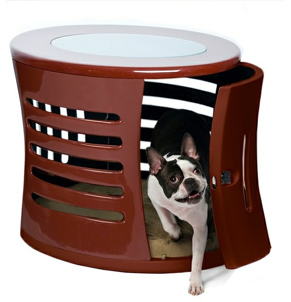 Modern accessories for your pets