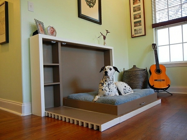 Modern accessories for your pets Modern accessories for your pets