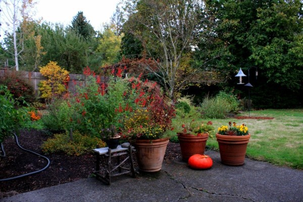 Garten & Pflanzen - Garden design ideas for the upcoming fall season Garten & Pflanzen - Garden design ideas for the upcoming fall season