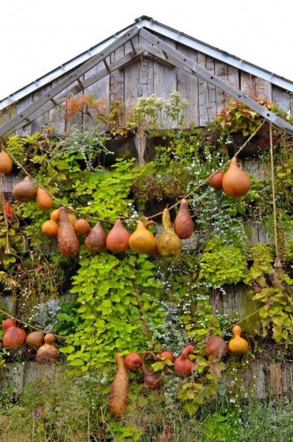 Garden design ideas for the upcoming fall season