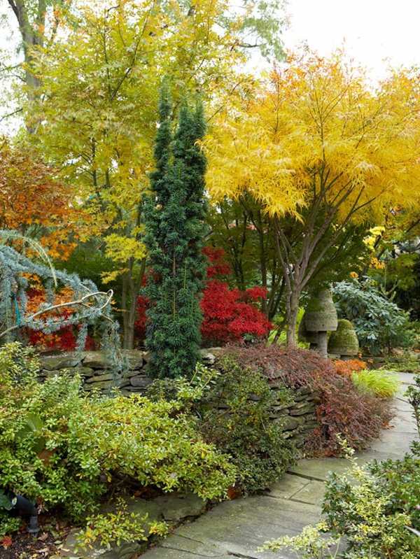 Garden design ideas for the upcoming fall season