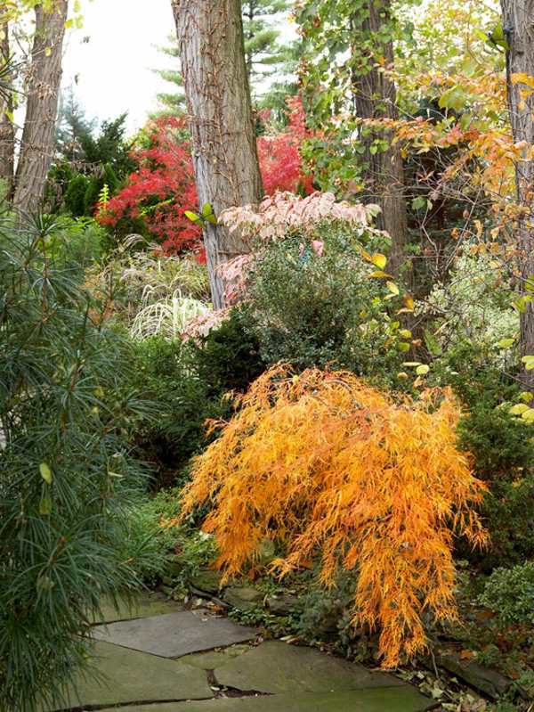 Garden design ideas for the upcoming fall season