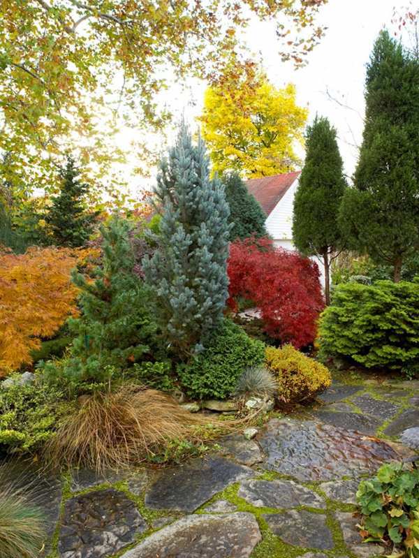 Garden design ideas for the upcoming fall season