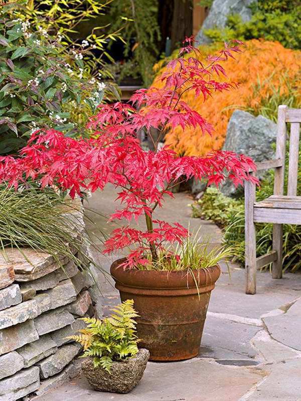 Garden design ideas for the upcoming fall season
