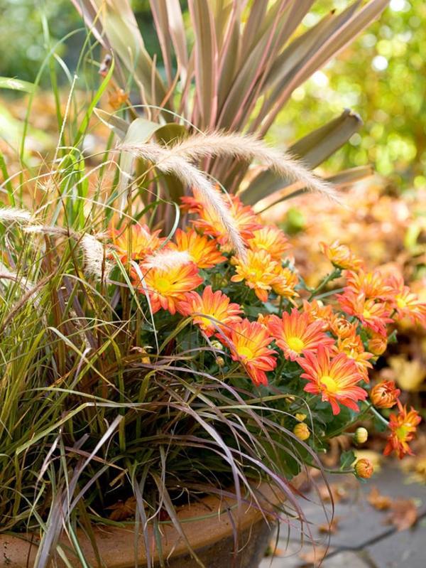 Garden design ideas for the upcoming fall season
