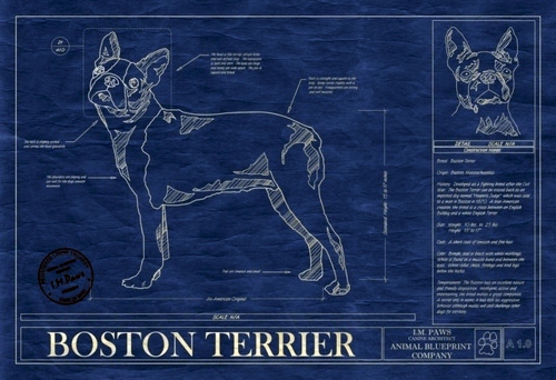Decoration ideas with dogs