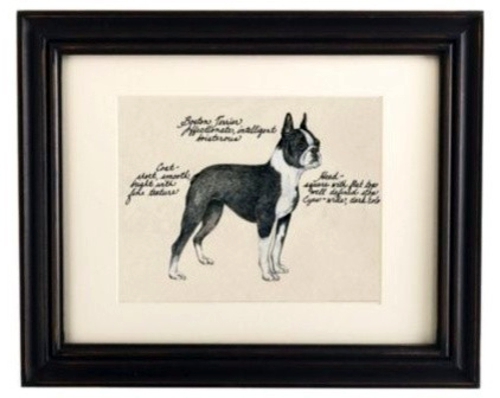 Decoration ideas with dogs